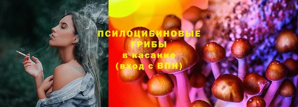 прущие крисы Осинники